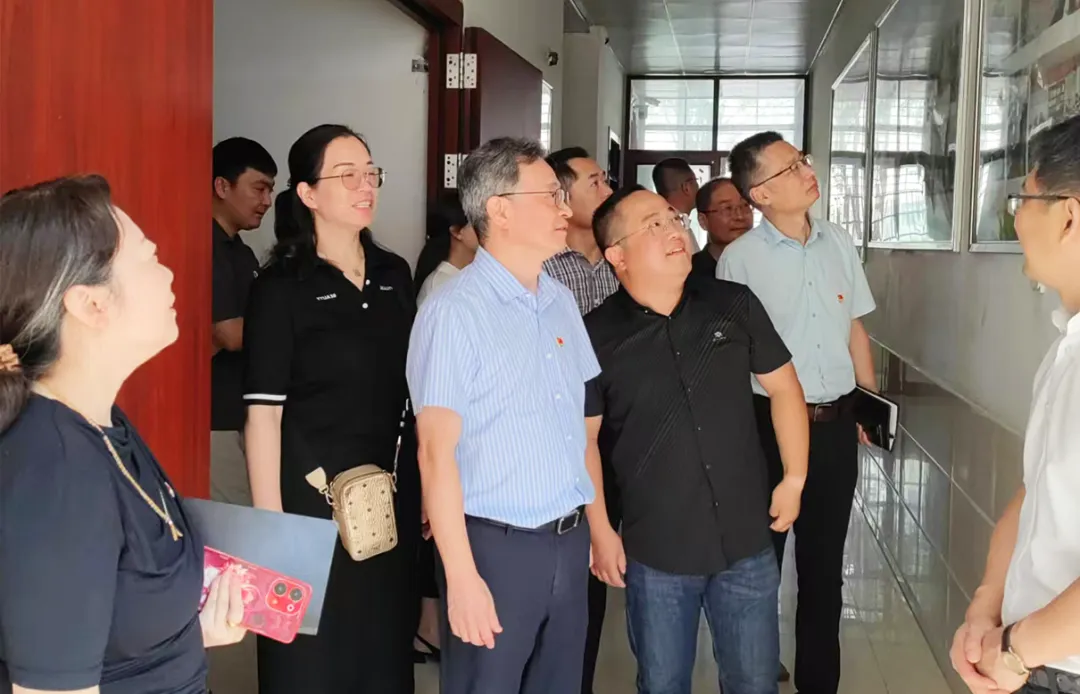 25a225d6f65d46dbaacfcf3a3bf2c3cf.png 25a225d6f65d46dbaacfcf3a3bf2c3cf.png